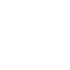 Pinecone logo
