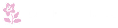 Bombax Miner logo