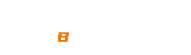 Bolon Miner logo