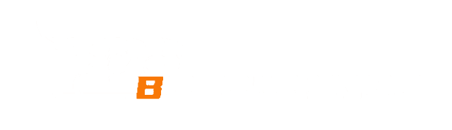 Bolon Miner logo